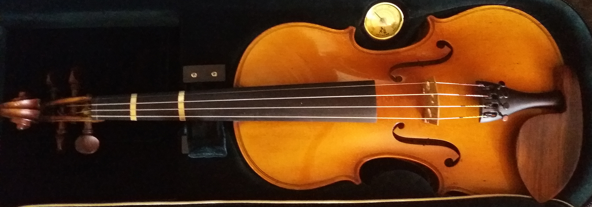 My violin, gorgeous